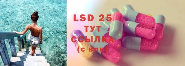 PSILOCYBIN Нея