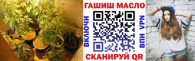 Дистиллят ТГК THC oil  цена   блэк спрут зеркало  Севастополь 