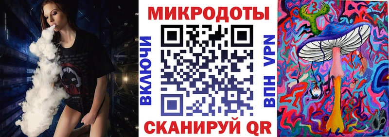 Псилоцибиновые грибы Psilocybine cubensis  Севастополь 